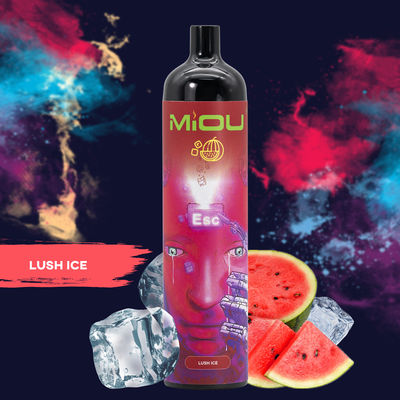 Lisci dispositivo eliminabile del baccello della batteria di Vape 20ml dei soffi di Miou 9000 di sapore il grande
