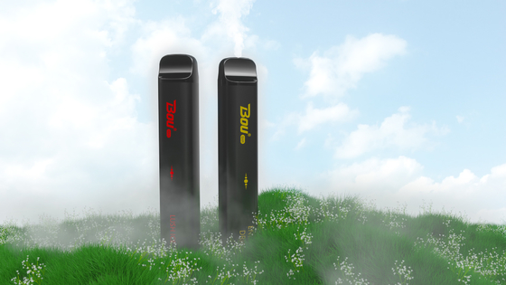I 3000 soffi eliminabili BOU ESCLUDONO il NIC 1350mAh 13 del fumo 5% condisce il Cig di 10ml E