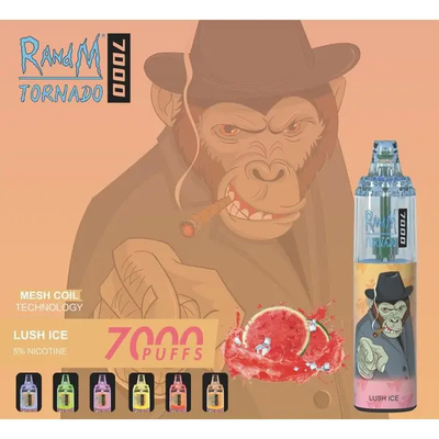 I soffi eliminabili su ordinazione 45 del vaporizzatore 7000 di 14ML RADNM Vape condisce il Cig di E