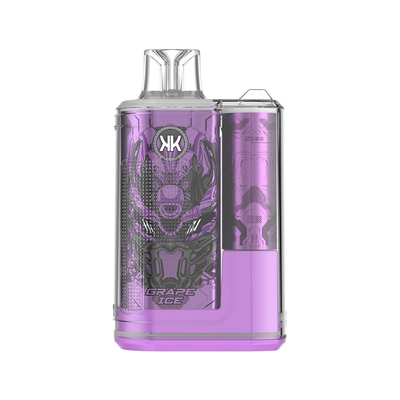 Penna vaporizzatore usa e getta ricaricabile ECK KK 12000 Puffs 5% nicotina Vapori di gusto elegante