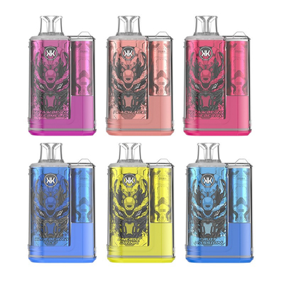 Penna vaporizzatore usa e getta ricaricabile ECK KK 12000 Puffs 5% nicotina Vapori di gusto elegante